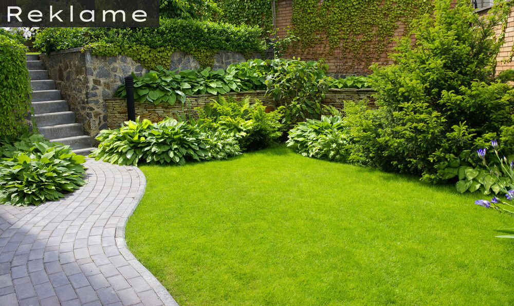 Skab den perfekte have til jeres hund